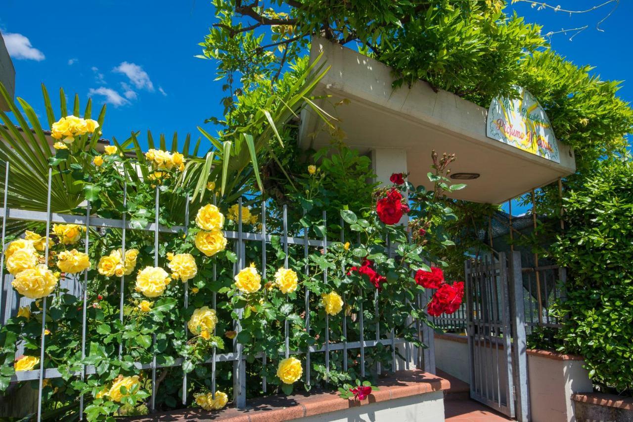 Bed & Breakfast Profumo D'Estate Agliana Zewnętrze zdjęcie