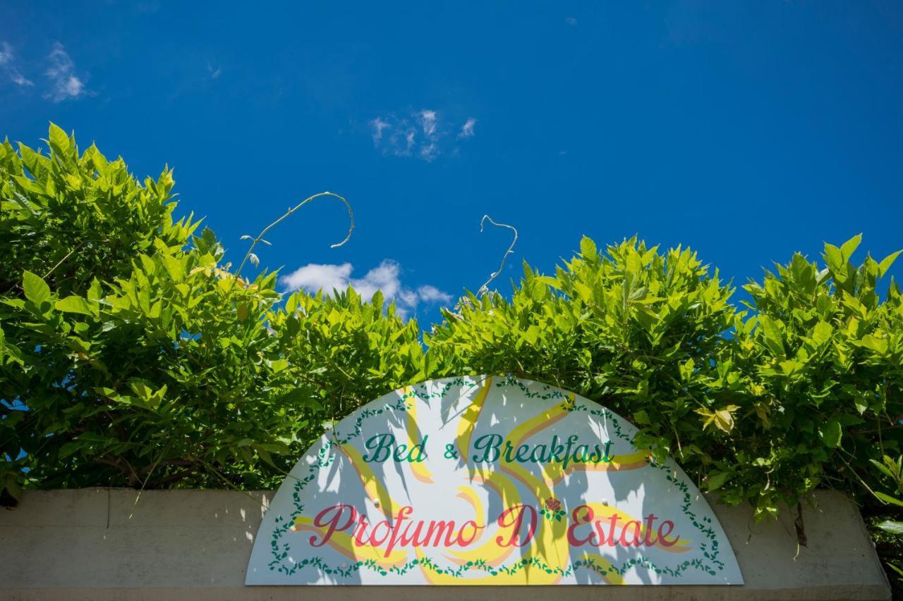 Bed & Breakfast Profumo D'Estate Agliana Zewnętrze zdjęcie